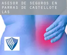 Asesor de seguros en  Parras de Castellote (Las)