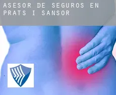 Asesor de seguros en  Prats i Sansor