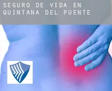 Seguro de vida en  Quintana del Puente