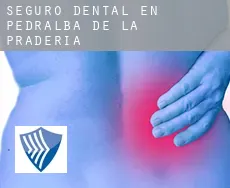 Seguro dental en  Pedralba de la Pradería