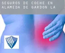 Seguros de coche en  Alameda de Gardón (La)
