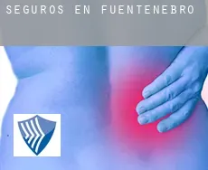 Seguros en  Fuentenebro