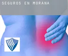 Seguros en  Moraña