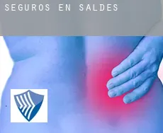 Seguros en  Saldes