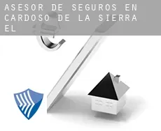 Asesor de seguros en  Cardoso de la Sierra (El)
