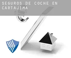 Seguros de coche en  Cartajima
