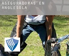 Aseguradoras en  Anglesola
