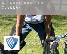 Aseguradoras en  Cuéllar