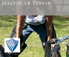 Seguros en  Zerain