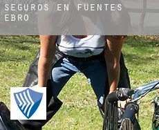 Seguros en  Fuentes de Ebro