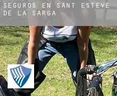 Seguros en  Sant Esteve de la Sarga
