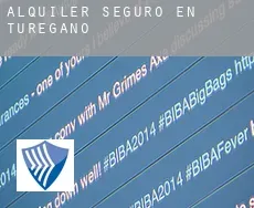 Alquiler seguro en  Turégano