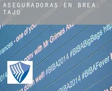 Aseguradoras en  Brea de Tajo