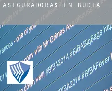 Aseguradoras en Budia