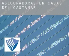 Aseguradoras en Casas del Castañar