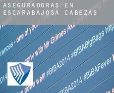 Aseguradoras en Escarabajosa de Cabezas