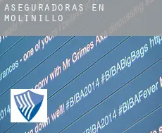 Aseguradoras en  Molinillo