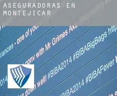 Aseguradoras en  Montejicar