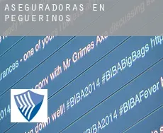 Aseguradoras en  Peguerinos