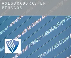 Aseguradoras en  Penagos