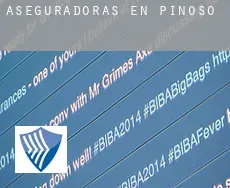 Aseguradoras en  Pinoso