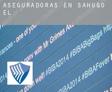 Aseguradoras en  Sahugo (El)