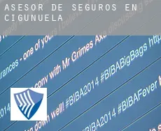 Asesor de seguros en  Ciguñuela