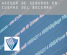 Asesor de seguros en  Cuevas del Becerro