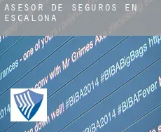 Asesor de seguros en  Escalona