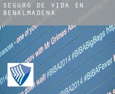 Seguro de vida en  Benalmádena