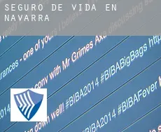 Seguro de vida en  Navarra