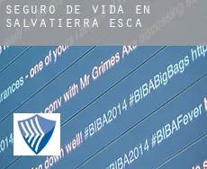 Seguro de vida en  Salvatierra de Esca