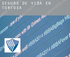 Seguro de vida en Tortosa