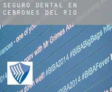 Seguro dental en  Cebrones del Río