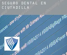 Seguro dental en  Ciutadilla