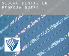 Seguro dental en  Pedrosa de Duero