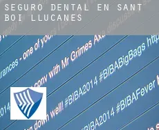 Seguro dental en  Sant Boi de Lluçanès