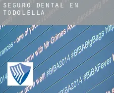 Seguro dental en  Todolella
