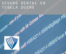 Seguro dental en  Tudela de Duero
