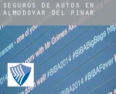 Seguros de autos en  Almodóvar del Pinar
