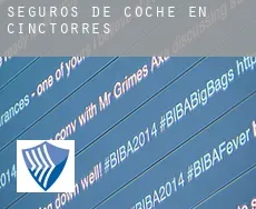 Seguros de coche en  Cinctorres