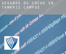 Seguros de coche en  Tamariz de Campos