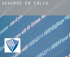 Seguros en  Càlig
