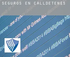 Seguros en  Calldetenes