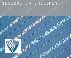 Seguros en  Chilches / Xilxes