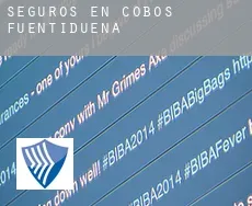 Seguros en Cobos de Fuentidueña