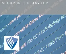 Seguros en  Javier