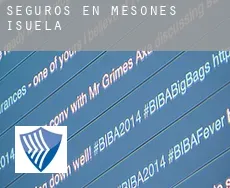 Seguros en  Mesones de Isuela