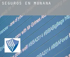 Seguros en  Muñana