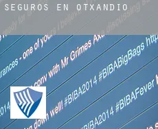 Seguros en  Otxandio
